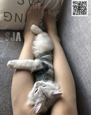 庆余年2第160集免费播放