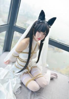 猫女的诅咒在线观看
